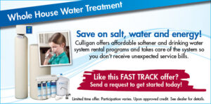 Whole House Water Treatment Systems